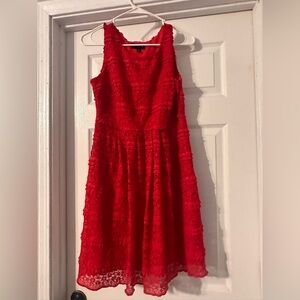 Encore Studio Vibrant Red Lace Midi Dress